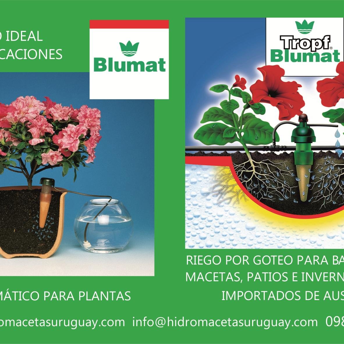 Si te vas de vacaciones instala Blumat: Regadores inteligentes y ecológicos p plantas en macetas (interior o exterior).Importados de Austria.