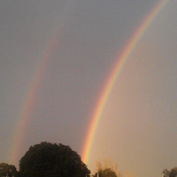 Michelle Cox Profile