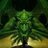 roma_owens's profile image