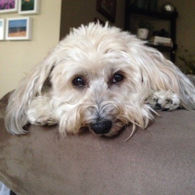 jacksperson113's profile picture. 