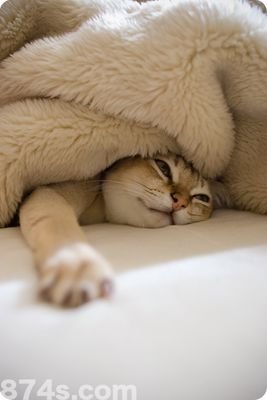 最近暇なので誰か一緒にDMしましょう！