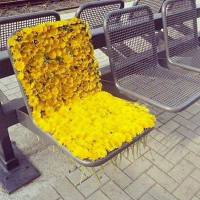 سوييت هالحسساب ع شاان استااذه نواال ربي يسعدهاا