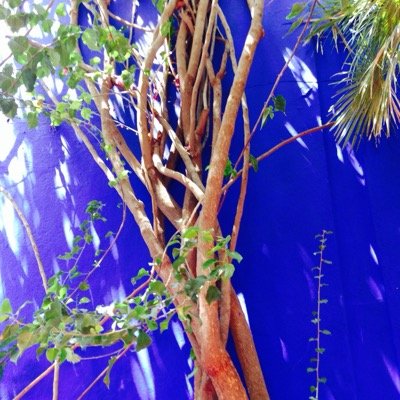 runpoulette's profile picture. 