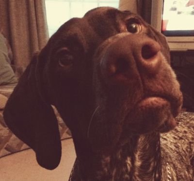 RyanSheehanRuns's profile picture. No witty descriptions