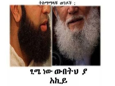 SSumeya120's profile picture. 
