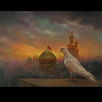 reflectiveshare's profile picture. 