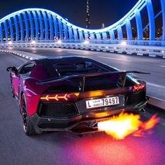 siraj_shuhaib's profile picture. #SWAG#