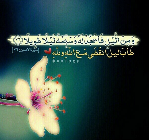 ‏*وسنمضي للجنّة زمراًنلقى فيها الصحبُ عيانا~ ~ونقول مقُولة مشتاقٍ :(كنّا في الدنيا أحبَابا)
