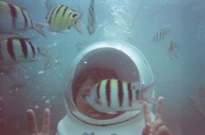 何とか二児の母やってます。
※副業お断り。
変な成り上がりの金持ちとかいうのフォローしてこないで下さい。迷惑。