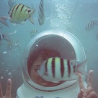 ★masa☆ (@hanalablab) 's Twitter Profile