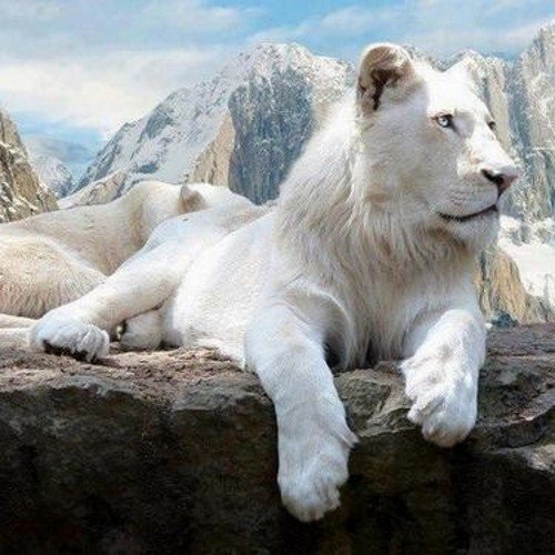 stbonaqua's profile picture. 