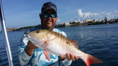 Captain Rafael Apellaniz created Puerto Rico Tarpon Connection fifteen years ago.  Captain Rafa was born in Puerto Rico, fishing since he was six years old.