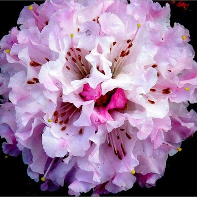 mom2cooper's profile picture. A home stager, interior decorator, and furnishings cultivator.  My life is a great big unfolding adventure that I share with a supportive husband and great kid!