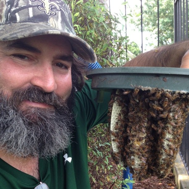 Bee Keeper/Bee Removal specialist crazy about honey bees, catch my videos on my youtube channel! https://t.co/FU6hahVJ1W