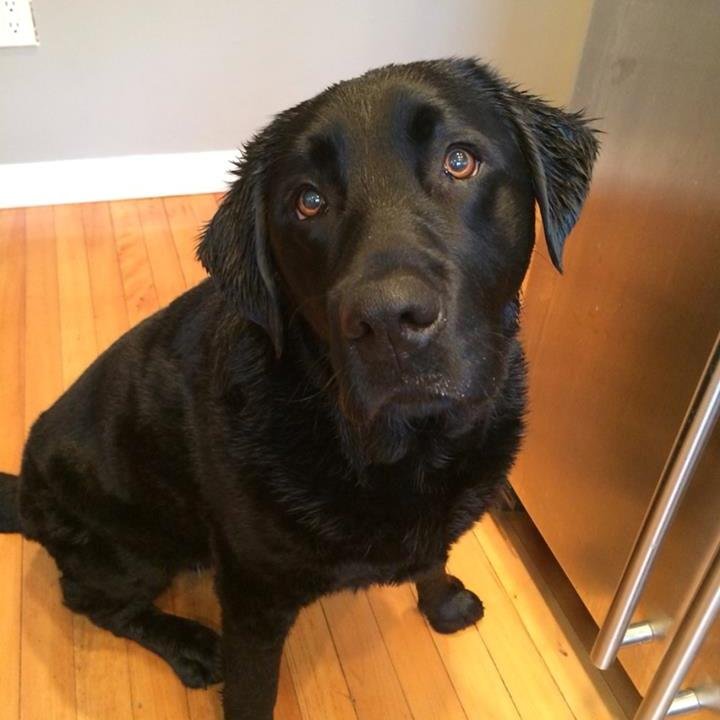 kellylinehan's profile picture. 