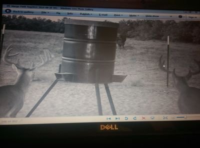 ggg6162's profile picture. Whitetail Guide and Deer Management. Pro Staff Texas Sportsman TV Show (Hunting Whitetail Exotics &Fishing) on Local FOX in Corpus Christi TX & South Texas