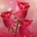 Tears of a lord (@0925229c7148471) Twitter