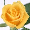 Iris - @Iris__Casco - Twitter