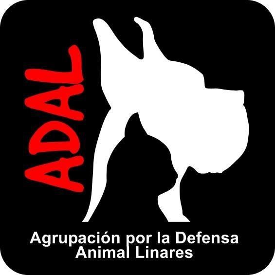 Corporación dedicada a la defensa de los animales de Linares Chile, a través de la esterilización, la adopción de mascotas y la educación de la población.