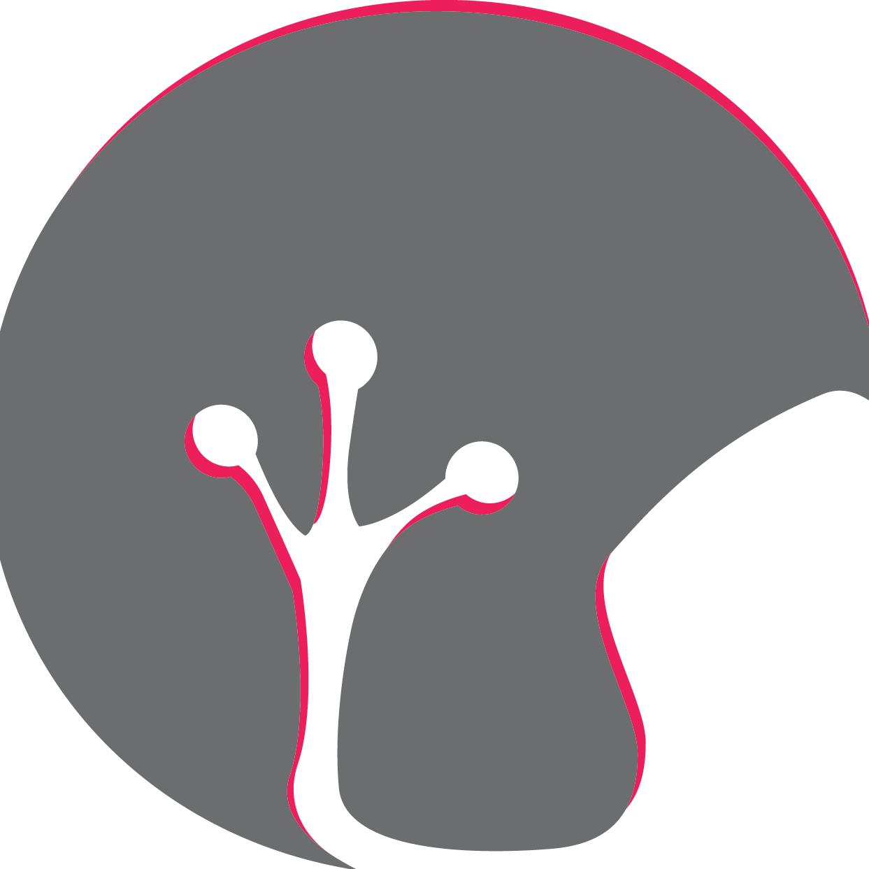 PinkFrogDC's profile picture. Not your typical #consulting firm specializing in all things #nonprofit.