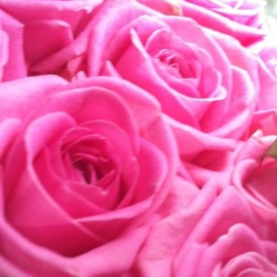 QUITE SIMPLY.... MORE THAN WHAT YOU EXPECTED
PERSONALISED PETALS FOR ANY OCCASION
SPECIALISING IN WEDDING AND FUNERAL CREATIONS