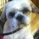 Shannon Johns - @shannon1010x - Twitter