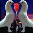 السومة (@0535537794) Twitter