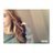 1105daisy's profile image