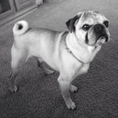 dmq6623's profile picture. 