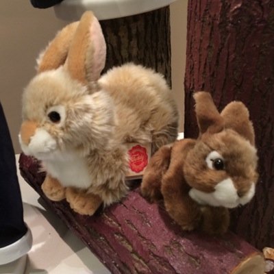 MMPeek1234's profile picture. 