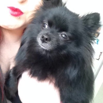 Cosmetologist. Obessed with my dog, the little mermaid, vintage pyrex, and tattoos.