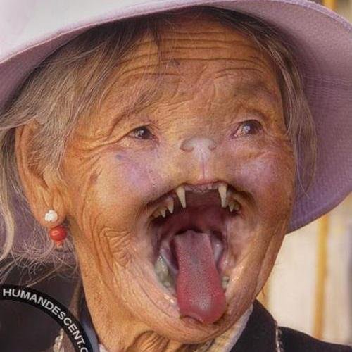 CaelosMina's profile picture. no se
2010