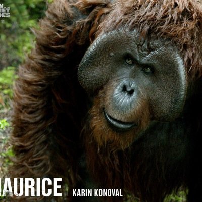 mauricetheapz's profile picture. hello i am Maurice the ape and im also a friend of Caesar the leader. i teach apes. Caesar and Rocket are amazing friends . apes together strong!!
