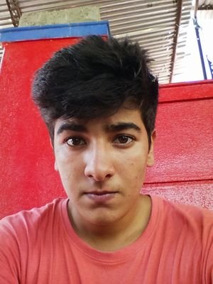 INDIAN , Crazy MANCHESTER UNITED SUPPORTER , Apeejayite , Usually tweet about football . GGMU :)