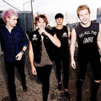 4 Aussie lads that go by the name of 5 Seconds of Summer 卌 ❤️ Just ask me for a follow c: They're fronds not weed | Still not punk rock 卌 met&hugged4/4 | band/4
