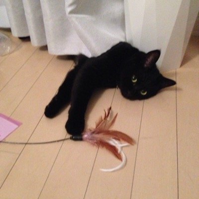 zone1120's profile picture. 