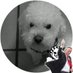 liliana chi (@lilianachi) Twitter profile photo