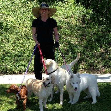 Dog Gone Home and Pet Care in Orange County, CA, provides high quality services to individuals and families who have busy and demanding schedules!