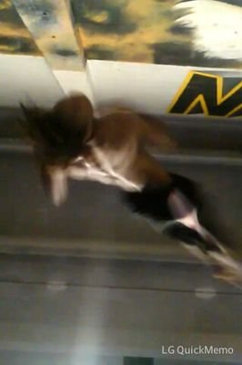 For Acrobatics, Dancers, Gymnast, Cheerleaders, and Free Runners. dwhite.acro@gmail.com