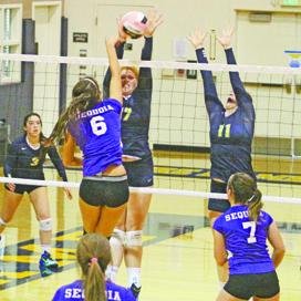 SequoiaHS_VBall Profile Picture