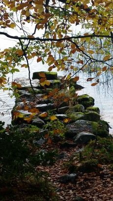 cathym49's profile picture. 