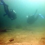 We're a DSU ratified society that has one purpose: get people in the water! https://t.co/TO3H7vxYiq