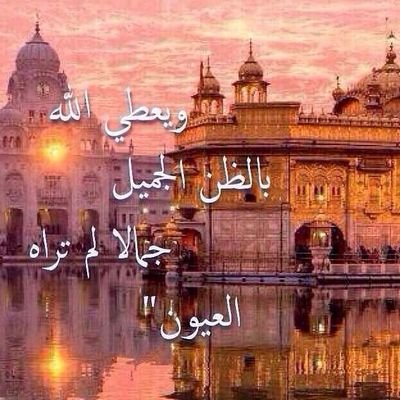 ولا تكتب بكفك غير شيءٍ يسرك في القيامة أن تراه