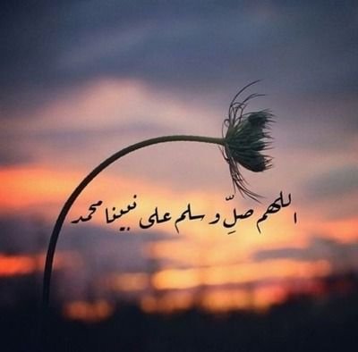 garbfi's profile picture. 