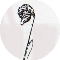 Plu_Gweunydd (@plugweunydd) 's Twitter Profile