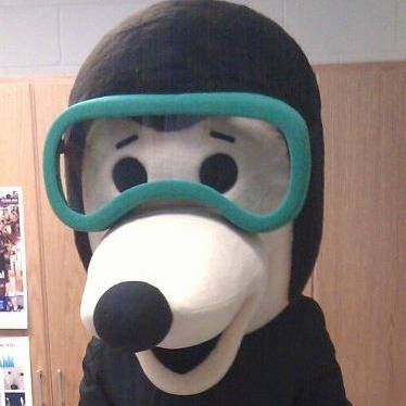 I'm a high energy high school chemistry teacher with the desire to see my students succeed in whatever goals they have.