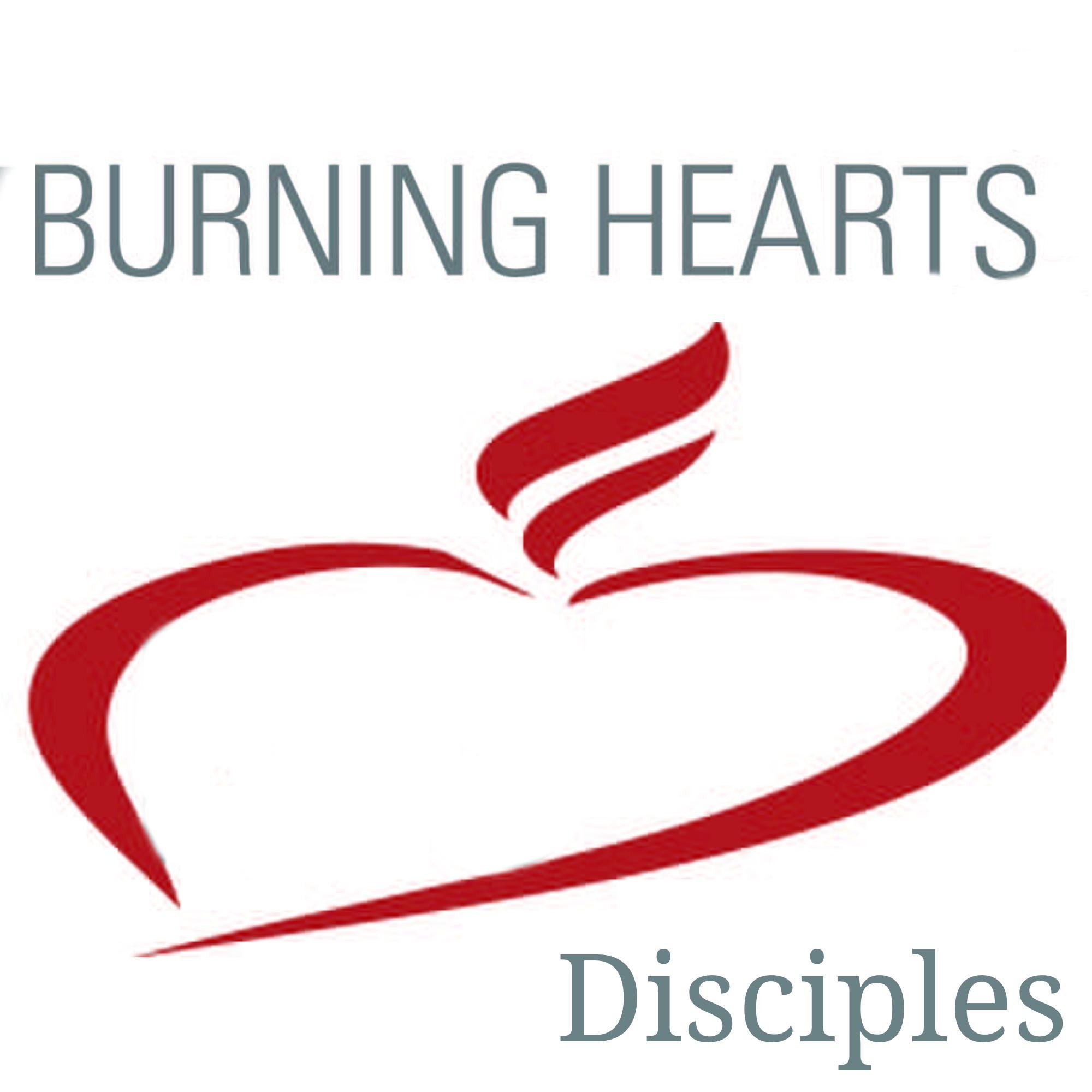 Equipping, training, & supporting Catholics to live out Jesus' mission for the Church to