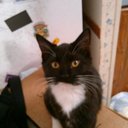 Debra Hennen - @DebraHennen - Twitter