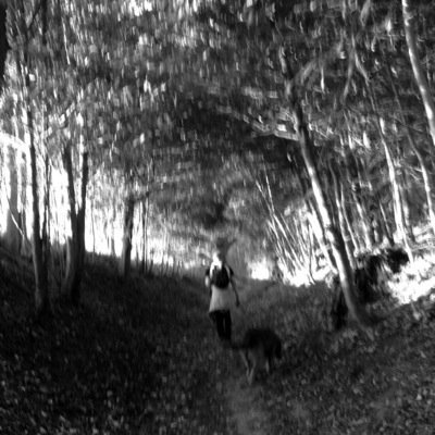 supxrtramp's profile picture. sølidarity