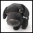 ymineeva1's profile image
